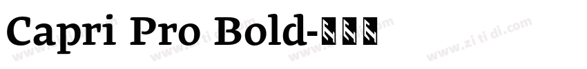 Capri Pro Bold字体转换